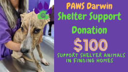 Shelter Donation