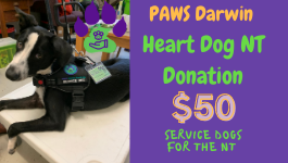 Heart Dog Donation