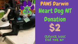 Heart Dog Donation